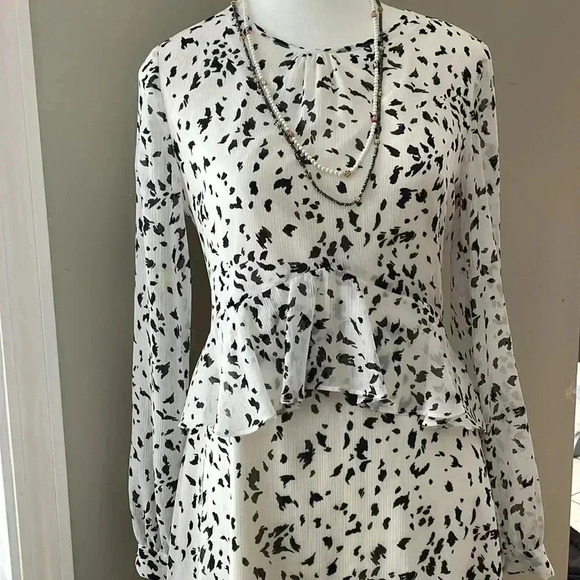 [4]Sam Edelman  Chiffon Ruffled Fleck Print Dress - Picture 4 of 11